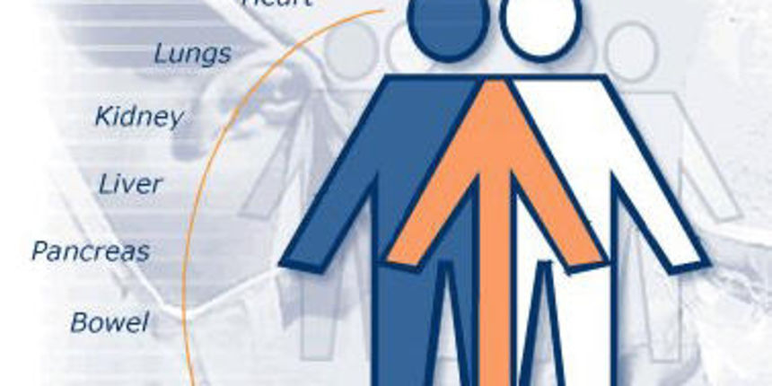 Image 1202147 (auto) Image 1202147 (auto)