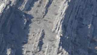 Velebitski divlji konji, Foto: Leo Banić