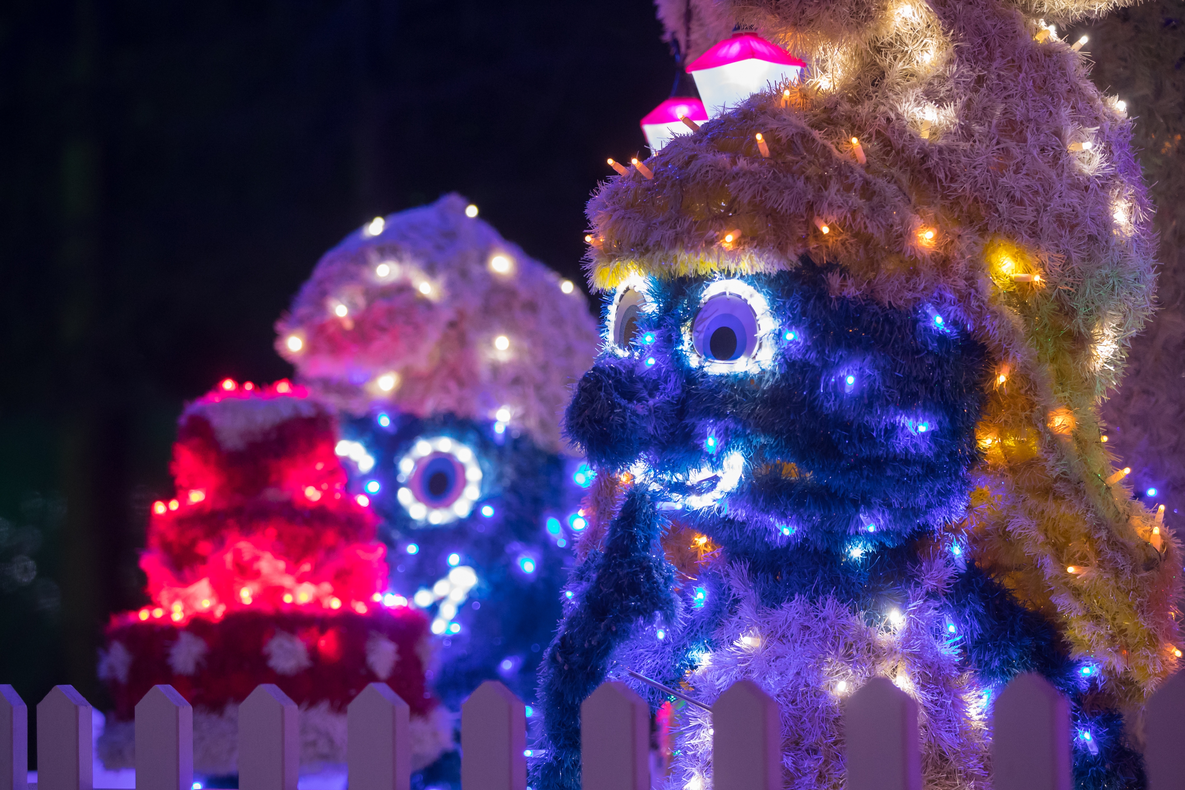 Još raskošnije izdanje: pogledajte kako izgleda Božićna priča obitelji Salaj gdje je ove godine zasjalo rekordnih 2.5 milijuna lampica