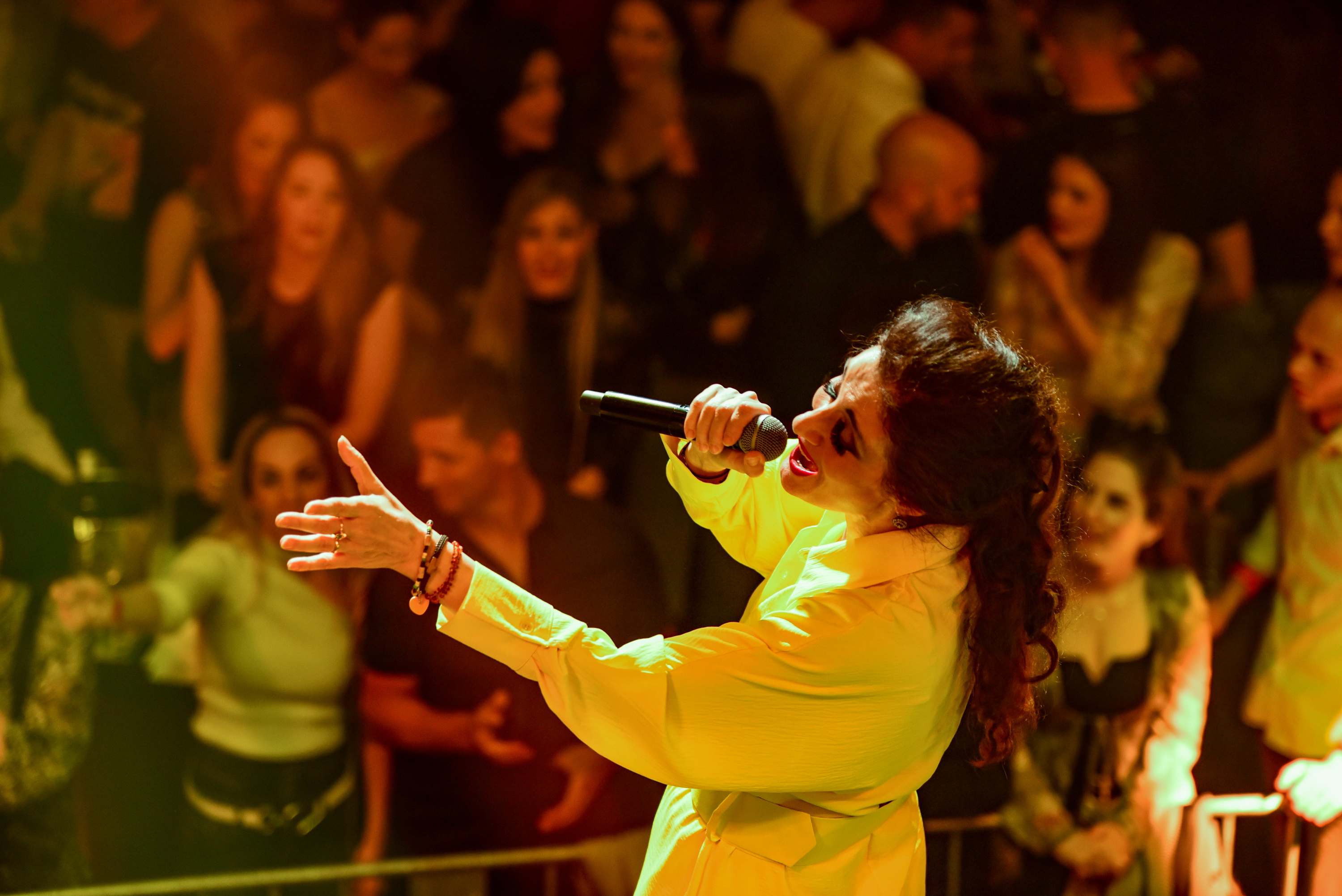 Doris Dragović sinoćnjim koncertom oduševila je Arsenalovu publiku