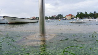 Plima u uvali Bregdetti, foto: T. Ivanov