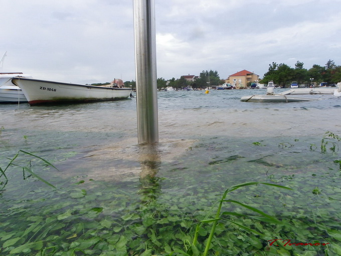 Plima u uvali Bregdetti, foto: T. Ivanov