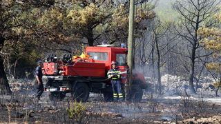 Zadar, Babindub, 230812.
Pozar u mjestu Babindub, kraj Zadra, u blizini aerodroma. Pozar je izbio medju kucama, na rubu borove sume kod vojnog aerodroma. Dio terena je miniran pa su u gasenju sudjelovali i kanaderi.
Foto: Jure Miskovic / CROPIX