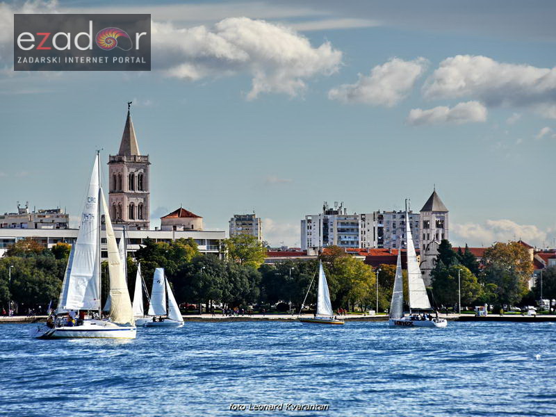 Zadarska koka 2017. Zadarska koka 2017.