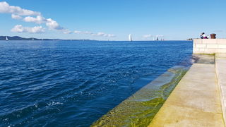 Zadarska Koka 2016. 22. listopada 2016. Foto: Mladen Malik Zadarska Koka 2016. 22. listopada 2016. Foto: Mladen Malik