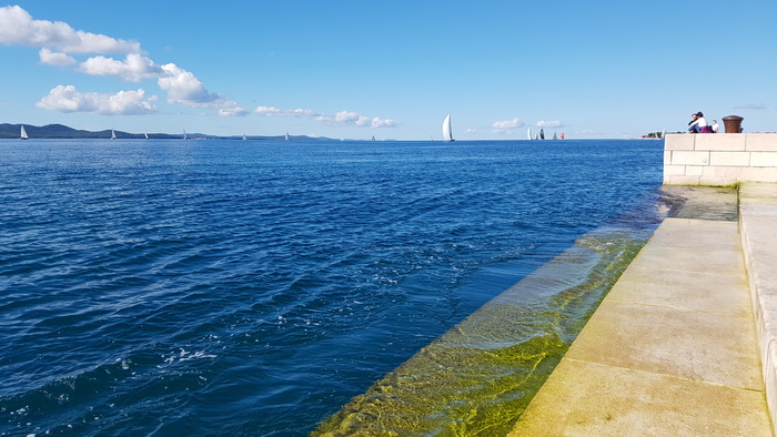 Zadarska Koka 2016. 22. listopada 2016. Foto: Mladen Malik Zadarska Koka 2016. 22. listopada 2016. Foto: Mladen Malik