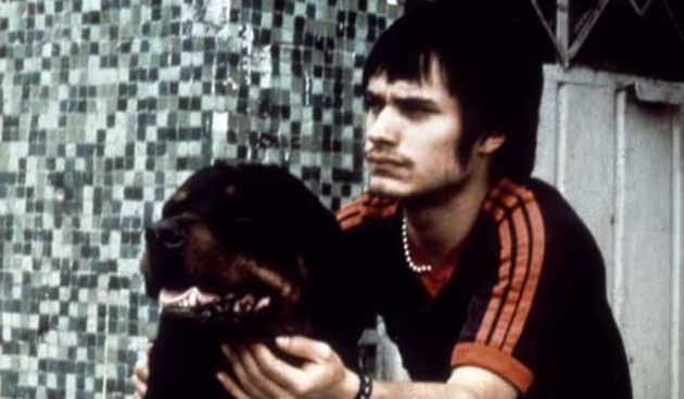 amours chiennes
amores perros
2000
réal : Alejandro Gonzalez Inarritu
Gael Garcia Bernal

Collection Christophel
