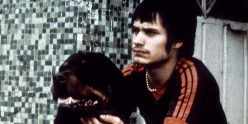 amours chiennes
amores perros
2000
réal : Alejandro Gonzalez Inarritu
Gael Garcia Bernal
Collection Christophel amours chiennes
amores perros
2000
réal : Alejandro Gonzalez Inarritu
Gael Garcia Bernal
Collection Christophel