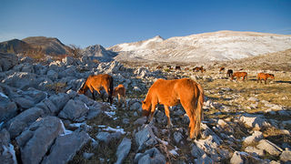 Đir do Libinja 9. travnja 2012. (foto:Saša Čuka) Đir do Libinja 9. travnja 2012. (foto:Saša Čuka)