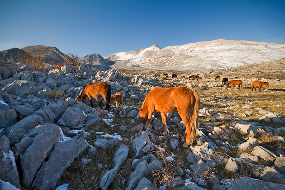Đir do Libinja 9. travnja 2012. (foto:Saša Čuka) Đir do Libinja 9. travnja 2012. (foto:Saša Čuka)