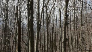16.03.2014., Juzni Velebit – Topljenje snijega na Juznom Velebitu i procvjetani prvi planinski cvjetovi u ranom proljecu najavljuju skorasnje toplije vrijeme. Photo: Filip Brala/PIXSELL Autor Filip Brala/PIXSELL Ključne riječi rekreacija, planina, pro 16.03.2014., Juzni Velebit – Topljenje snijega na Juznom Velebitu i procvjetani prvi planinski cvjetovi u ranom proljecu najavljuju skorasnje toplije vrijeme. Photo: Filip Brala/PIXSELL Autor Filip Brala/PIXSELL Ključne riječi rekreacija, planina, pro