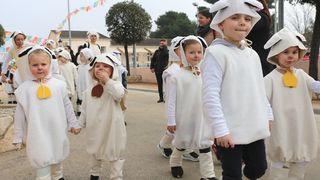 Virski Karnevalić 2017.