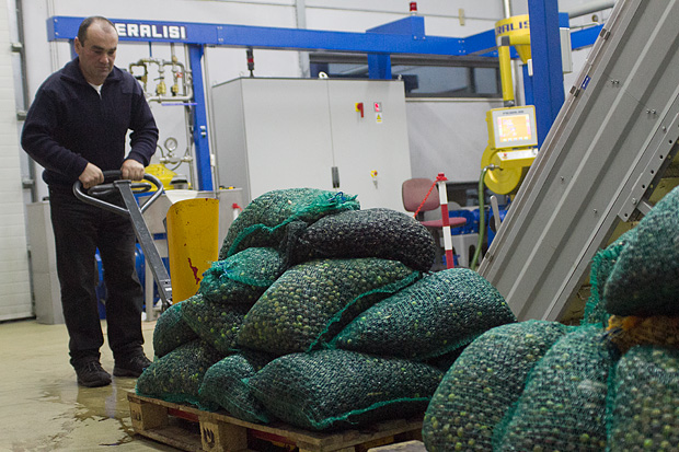 Večer u uljari, Foto: Leo Banić