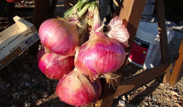 Manifestacija “Luka i igara” na vidikovcu Kamenjak. Foto: Gordana Šarić