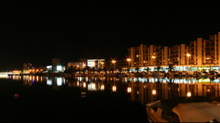 Image 1207463 (auto)