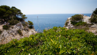 Posjeta NP Kornati i PP Telašćica, foto: Darko Belančić Posjeta NP Kornati i PP Telašćica, foto: Darko Belančić
