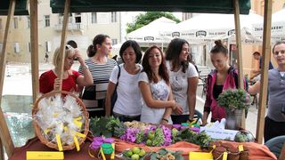 Sajam smokava na Poljani Šime budinića/Festival smokava/smokve, foto: I. Perinčić