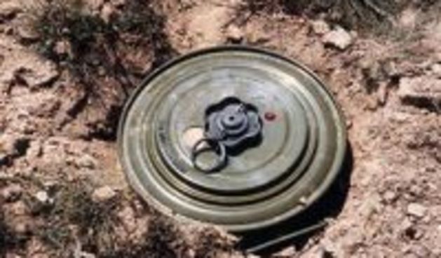 Mina( Foto: septicorn.blogger.ba)