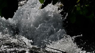 Prvosvibanjski izlet na Skradinski Buk