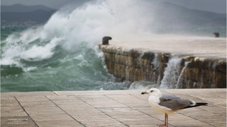 Lom valova na zadarskoj rivi 7. studenog 2014.  Foto: Marin Pitton