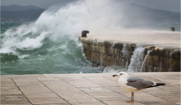 Lom valova na zadarskoj rivi 7. studenog 2014.  Foto: Marin Pitton