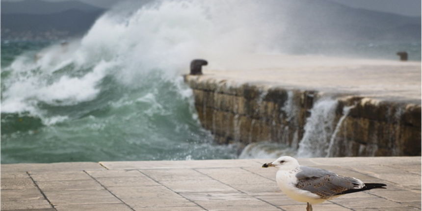 Lom valova na zadarskoj rivi 7. studenog 2014.  Foto: Marin Pitton