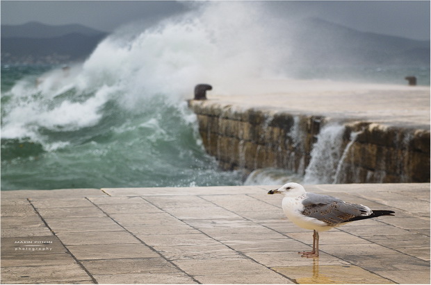 Lom valova na zadarskoj rivi 7. studenog 2014.  Foto: Marin Pitton