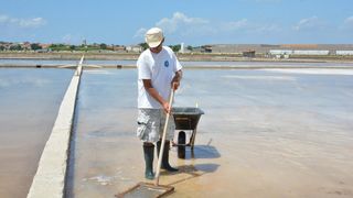 Nin – Povijesni gradic Nin pokraj Zadra za svoju prepoznatljivost ima nadaleko poznatu i najstariju hrvatsku solanu. Pod geslom “Prica o soli…” i dan danas se sol proizvodi na tradicionalan nacin. Photo: Damir Spehar/PIXSELL Nin – Povijesni gradic Nin pokraj Zadra za svoju prepoznatljivost ima nadaleko poznatu i najstariju hrvatsku solanu. Pod geslom “Prica o soli…” i dan danas se sol proizvodi na tradicionalan nacin. Photo: Damir Spehar/PIXSELL