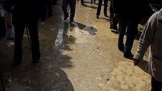 Benkovački sajam 10. travnja 2013, Foto: Leo Banić