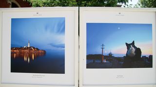 Izložba “Prijatelji mora”