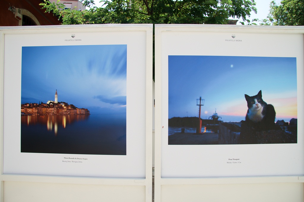 Izložba “Prijatelji mora”