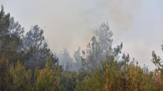 Veliki požar kod Ražanca uz vatrogasce gasili kanader i air tractor