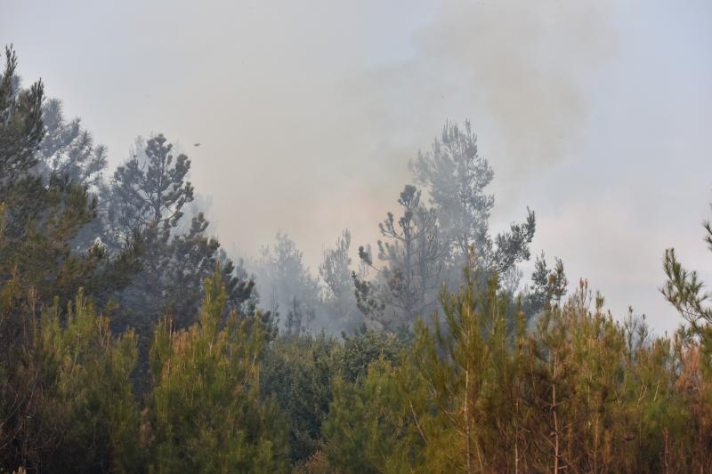 Veliki požar kod Ražanca uz vatrogasce gasili kanader i air tractor