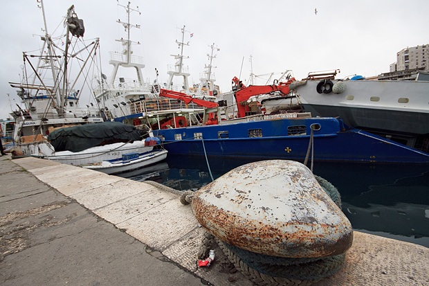 Ribarice u zadarskoj luci, Foto: Leo Banić