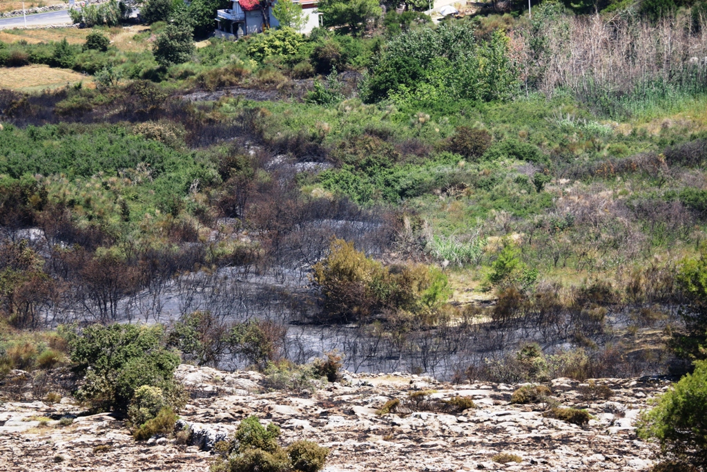 Vir: Požar u Lozicama u potpunosti ugašen Vir: Požar u Lozicama u potpunosti ugašen