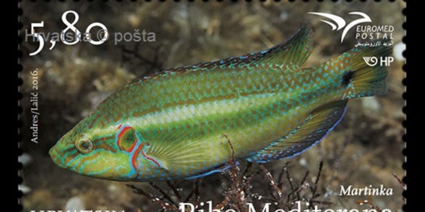 Hrvatska pošta u suradnji s PUMedom tiskala izdanje maraka “Ribe Mediterana” Hrvatska pošta u suradnji s PUMedom tiskala izdanje maraka “Ribe Mediterana”