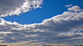 Image 1194603 (auto)