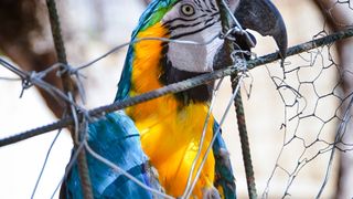 Zaton Obrovački: ZOO s egzotičnim i domaćim životinjama Zaton Obrovački: ZOO s egzotičnim i domaćim životinjama