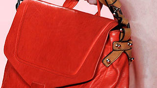 Torbice za proljeće 2010.