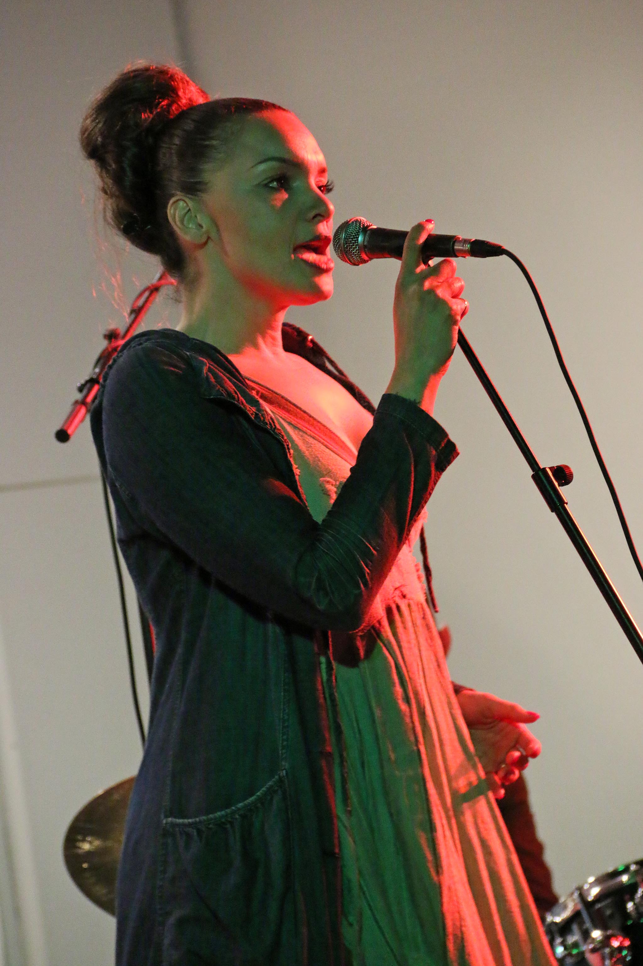 MAS: Koncert Matije Dedića i grupe Black Coffee, foto: eZadar