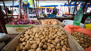Đir po pijaci, 17. travnja 2012. (foto:Saša Čuka)