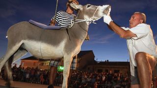 Trka Tovarov – 48. Memorijal Kenje Vijole Sukošan  Photo: Leo Banić