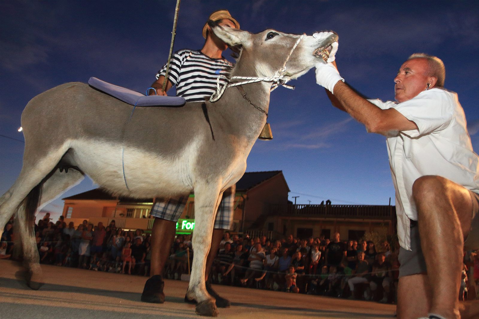 Trka Tovarov – 48. Memorijal Kenje Vijole Sukošan  Photo: Leo Banić