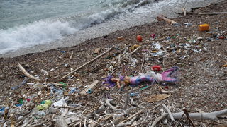 Mljet: Nasukana morska sirena Mljet: Nasukana morska sirena