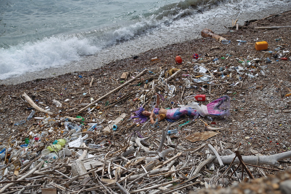 Mljet: Nasukana morska sirena Mljet: Nasukana morska sirena