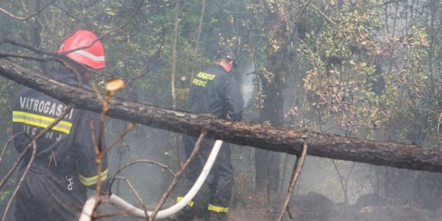 U katastrofalnim požarima na Pelješcu i Korčuli izgorjelo je više od 1400 hektara borove šume i vinograda. Photo: Grgo Jelavić/PIXSELL U katastrofalnim požarima na Pelješcu i Korčuli izgorjelo je više od 1400 hektara borove šume i vinograda. Photo: Grgo Jelavić/PIXSELL