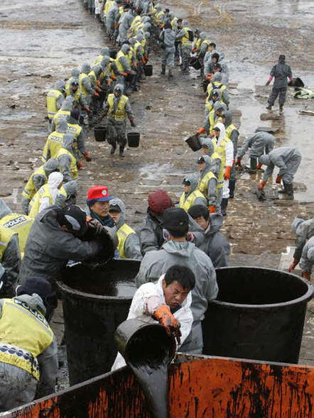 Image 1196813 (auto) Image 1196813 (auto)