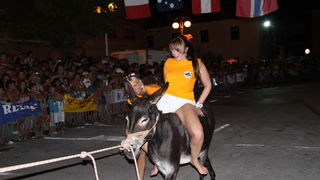 Image 1089009 (auto)