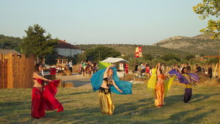 Dani vitezova vranskih, 19. srpnja 2014.