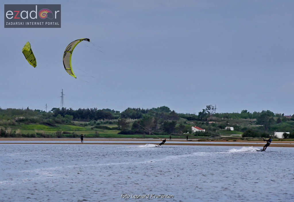 Kiteri guštali u refulima ninske bure Kiteri guštali u refulima ninske bure